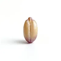 Grape Seed Extract